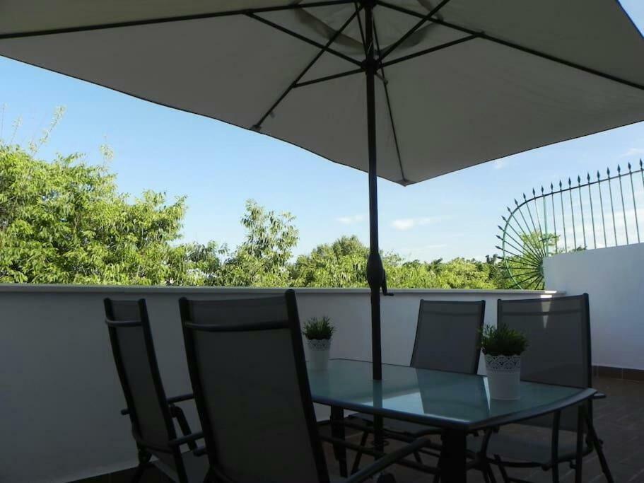 Atico Con Terraza En Alameda De Hercules Sevilla Bagian luar foto